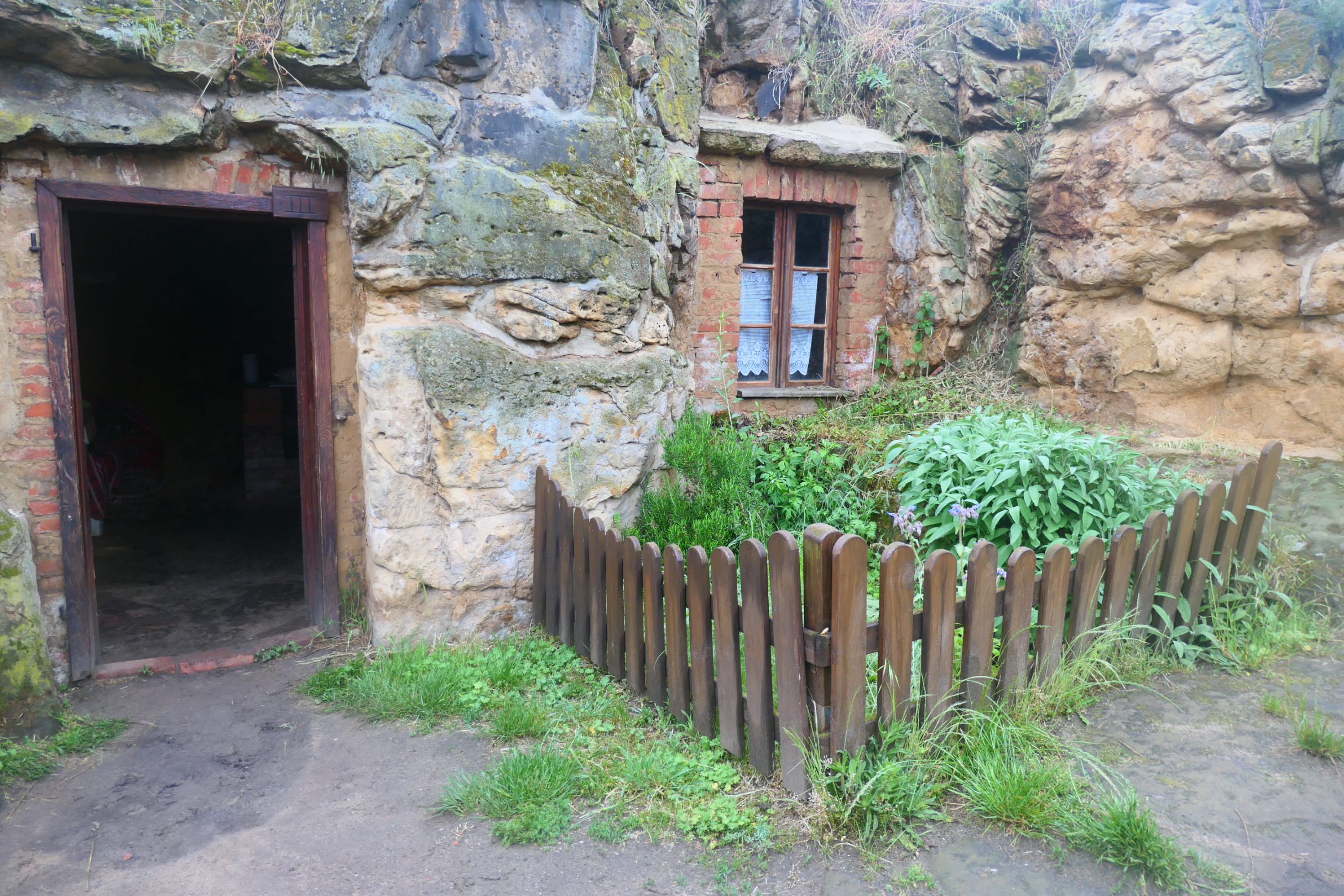 Halberstadt 30